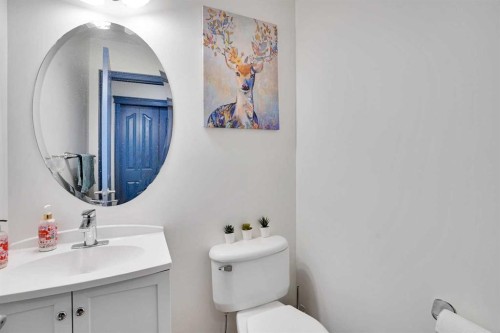 204 Covehaven Gardens Ne, Calgary, AB - Indoor Photo Showing Bathroom