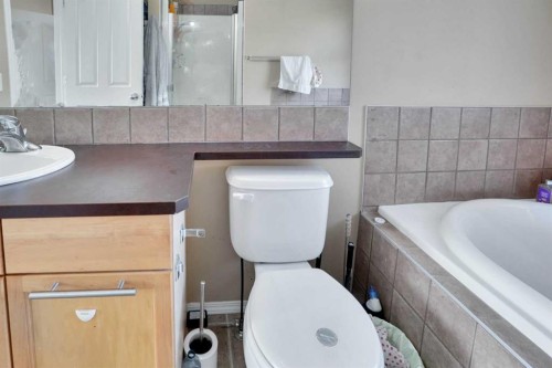 228 Covehaven Terrace Ne, Calgary, AB - Indoor Photo Showing Bathroom