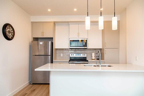120 Spring Creek Common Sw, Calgary, AB - Indoor Photo Showing Kitchen With Double Sink