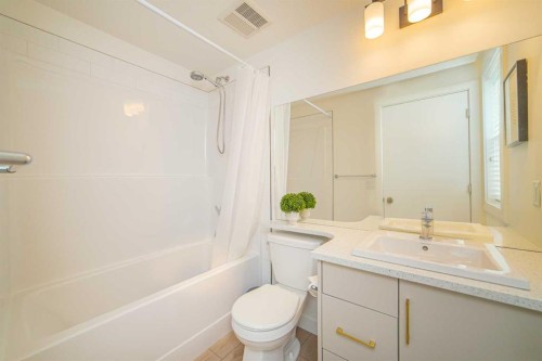 120 Spring Creek Common Sw, Calgary, AB - Indoor Photo Showing Bathroom