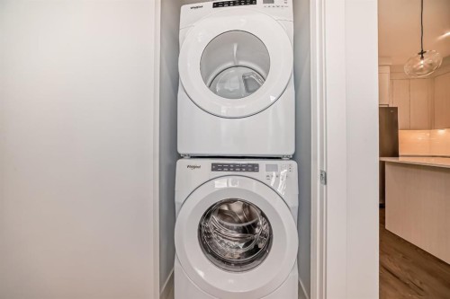 2520-395 Skyview Parkway Ne, Calgary, AB - Indoor Photo Showing Laundry Room