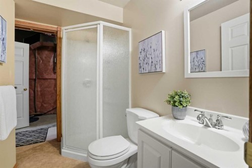 12 Bow Way, Cochrane, AB - Indoor Photo Showing Bathroom