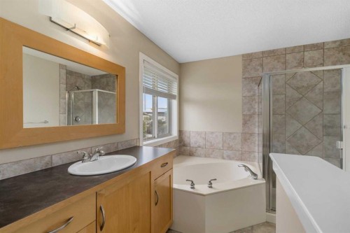 78 New Brighton Manor Se, Calgary, AB - Indoor Photo Showing Bathroom