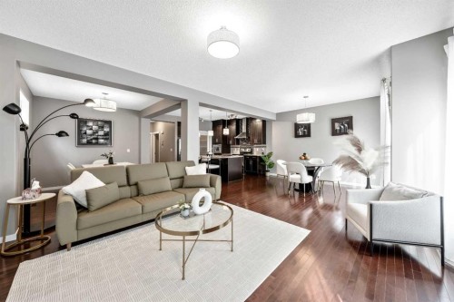 443 Skyview Shores Manor Ne, Calgary, AB - Indoor Photo Showing Living Room