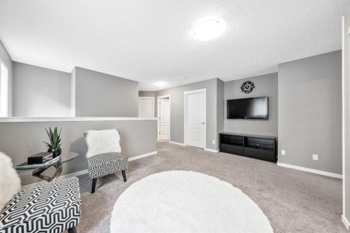 443 Skyview Shores Manor Ne, Calgary, AB - Indoor Photo Showing Living Room