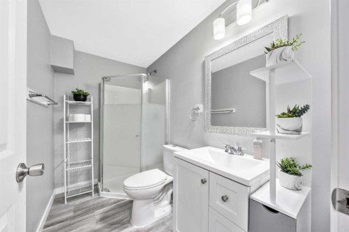 443 Skyview Shores Manor Ne, Calgary, AB - Indoor Photo Showing Bathroom