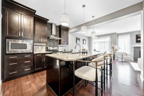 443 Skyview Shores Manor Ne, Calgary, AB - Indoor Photo Showing Kitchen With Upgraded Kitchen