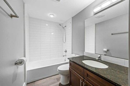204-4455D Greenview Drive Ne, Calgary, AB - Indoor Photo Showing Bathroom