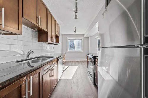 204-4455D Greenview Drive Ne, Calgary, AB - Indoor Photo Showing Kitchen With Double Sink With Upgraded Kitchen