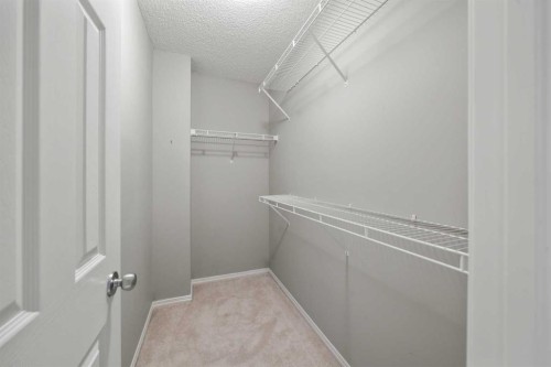 103 Saddlemont Way Ne, Calgary, AB - Indoor With Storage