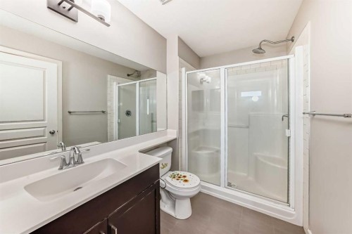 15 Evanscrest Way, Calgary, AB - Indoor Photo Showing Bathroom