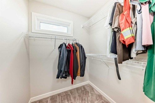 15 Evanscrest Way, Calgary, AB - Indoor With Storage