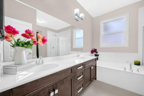 54 Redstone Mews Ne, Calgary, AB - Indoor Photo Showing Bathroom