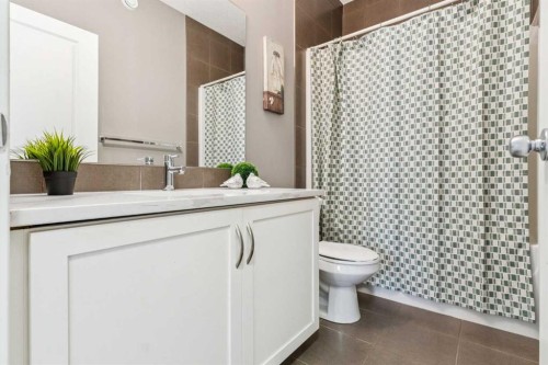 42 Chaparral Valley Place Se, Calgary, AB - Indoor Photo Showing Bathroom