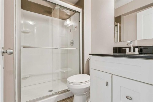 42 Chaparral Valley Place Se, Calgary, AB - Indoor Photo Showing Bathroom