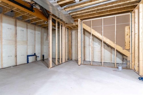 704 Mandalay Boulevard, Carstairs, AB - Indoor Photo Showing Basement