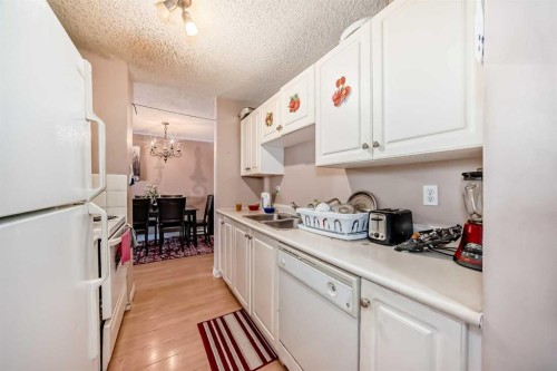623-30 Mchugh Court Ne, Calgary, AB - Indoor Photo Showing Kitchen With Double Sink