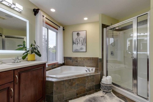 142 Discovery Ridge Boulevard Sw, Calgary, AB - Indoor Photo Showing Bathroom