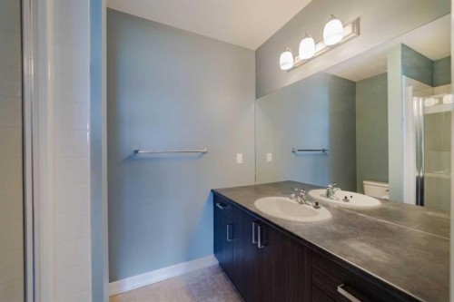 1218-121 Copperpond Common Se, Calgary, AB - Indoor Photo Showing Bathroom