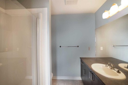 1218-121 Copperpond Common Se, Calgary, AB - Indoor Photo Showing Bathroom
