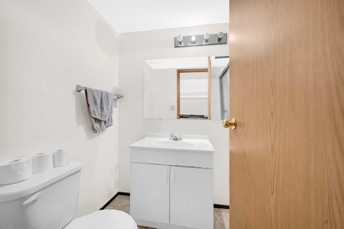 4 Fallingworth Bay Ne, Calgary, AB - Indoor Photo Showing Bathroom
