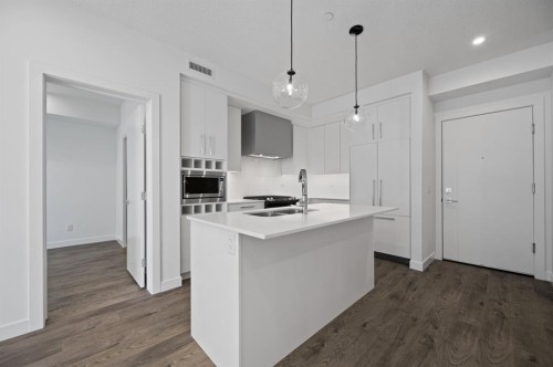 204-8370 Broadcast Avenue Sw, Calgary, AB - Indoor Photo Showing Kitchen With Double Sink With Upgraded Kitchen
