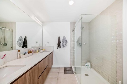 202-327 9A Street Nw, Calgary, AB - Indoor Photo Showing Bathroom