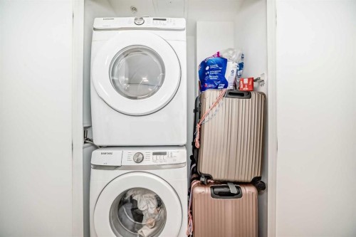 202-327 9A Street Nw, Calgary, AB - Indoor Photo Showing Laundry Room