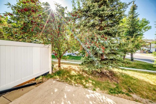 115 Saddlebrook Point Ne, Calgary, AB - Outdoor