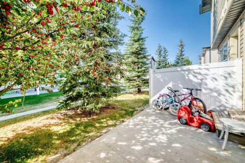 115 Saddlebrook Point Ne, Calgary, AB - Outdoor
