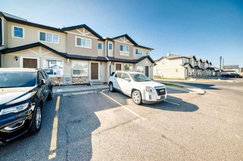 115 Saddlebrook Point Ne, Calgary, AB - Outdoor