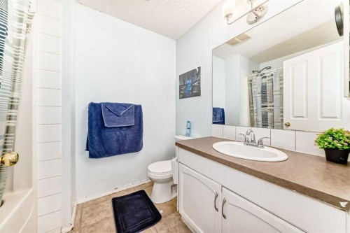 115 Saddlebrook Point Ne, Calgary, AB - Indoor Photo Showing Bathroom
