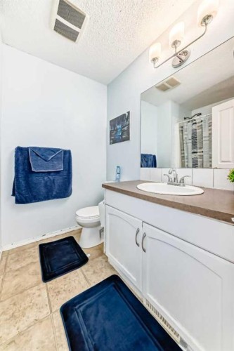 115 Saddlebrook Point Ne, Calgary, AB - Indoor Photo Showing Bathroom