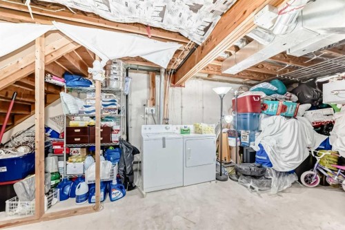 115 Saddlebrook Point Ne, Calgary, AB - Indoor Photo Showing Laundry Room