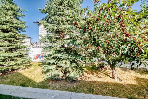 115 Saddlebrook Point Ne, Calgary, AB - Outdoor