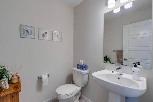 174 Chinook Gate Boulevard Sw, Airdrie, AB - Indoor Photo Showing Bathroom