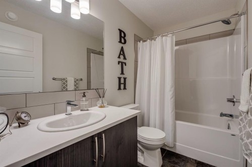 174 Chinook Gate Boulevard Sw, Airdrie, AB - Indoor Photo Showing Bathroom