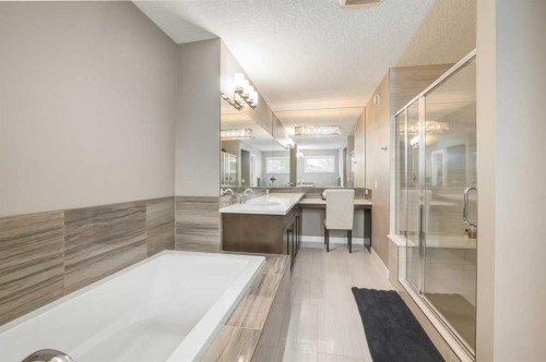 9 Walden Park Se, Calgary, AB - Indoor Photo Showing Bathroom