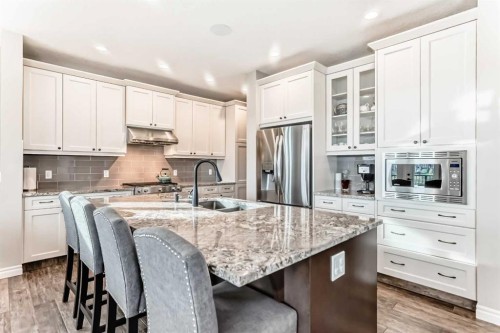 95 Marquis Crescent Se, Calgary, AB - Indoor Photo Showing Kitchen With Stainless Steel Kitchen With Double Sink With Upgraded Kitchen