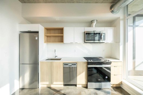 1010-1319 14 Avenue Sw, Calgary, AB - Indoor Photo Showing Kitchen