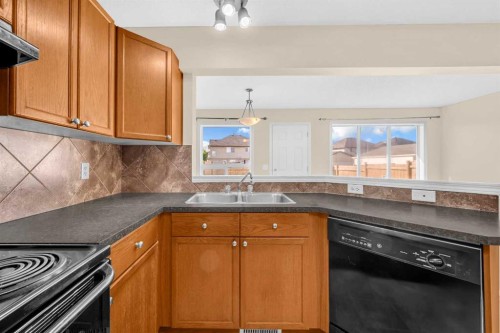 5 Saddlebrook Common Ne, Calgary, AB - Indoor Photo Showing Kitchen With Double Sink