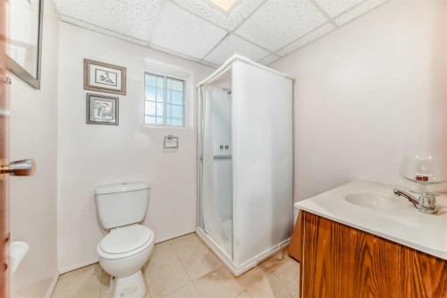 108 Jensen Place Ne, Airdrie, AB - Indoor Photo Showing Bathroom