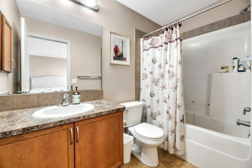 319 Saddlebrook Circle East, Calgary, AB - Indoor Photo Showing Bathroom