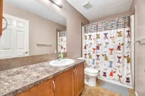 319 Saddlebrook Circle East, Calgary, AB - Indoor Photo Showing Bathroom