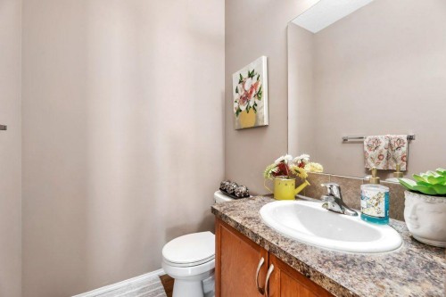 319 Saddlebrook Circle East, Calgary, AB - Indoor Photo Showing Bathroom
