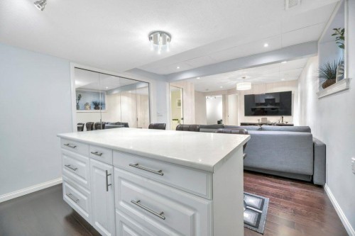 319 Saddlebrook Circle East, Calgary, AB - Indoor Photo Showing Kitchen