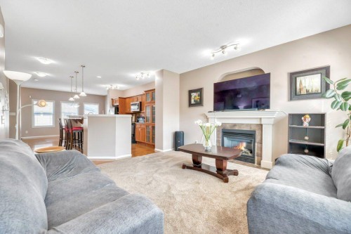 319 Saddlebrook Circle East, Calgary, AB - Indoor Photo Showing Living Room With Fireplace