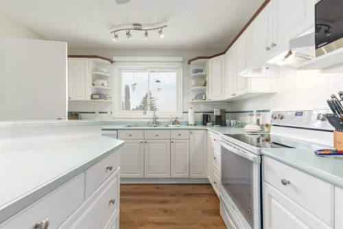 23 Whitlock Close Ne, Calgary, AB - Indoor Photo Showing Kitchen With Double Sink