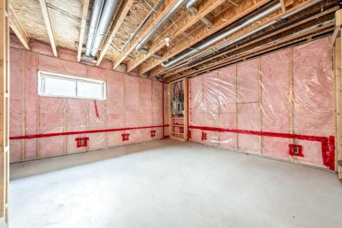 356 Auburn Crest Way Se, Calgary, AB - Indoor Photo Showing Basement