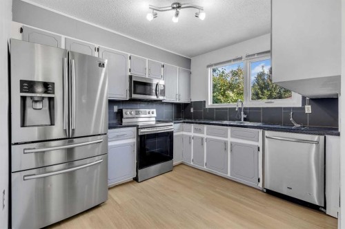 20 Whitmire Road Ne, Calgary, AB - Indoor Photo Showing Kitchen With Stainless Steel Kitchen